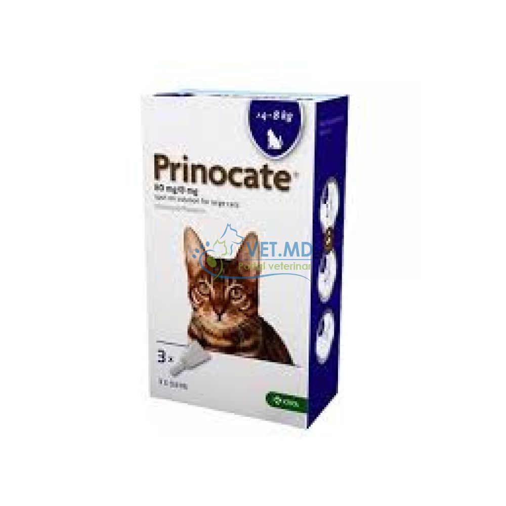 PRINOCATE 80mg/8mg